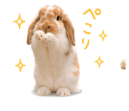 846389707
