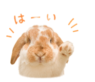 846389709