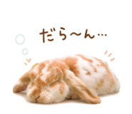 846389719