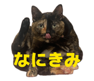 846390541