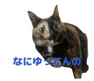 846390545