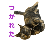 846390551