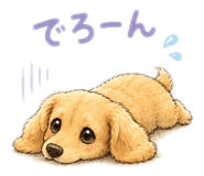846391082