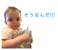 846391513