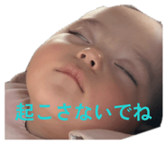 846391533