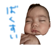 846391537