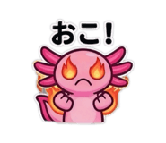 846391673