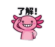 846391681