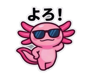 846391686