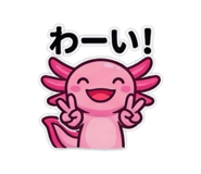 846391691