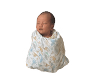 846391738
