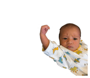 846391739
