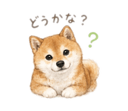 846391776