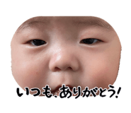 846392104