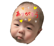 846392116