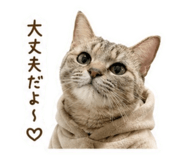 846392406