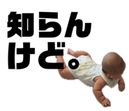 846392533