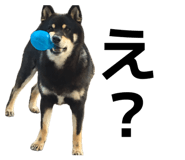 846392859