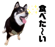 846392862