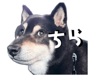846392863