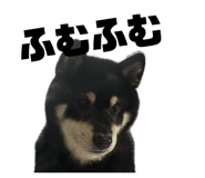 846392865