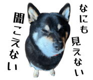 846392866