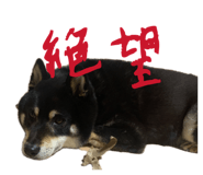846392868