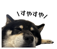846392872