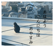 846393502