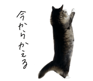 846393704