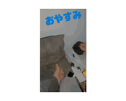 846393802