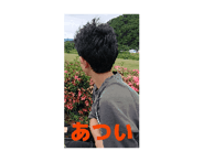 846393804