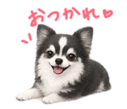 846393833