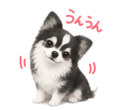 846393836