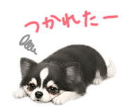 846393845