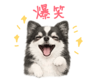 846393852