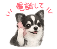 846393865