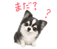 846393867