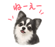 846393869