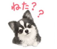 846393872