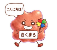 846394257