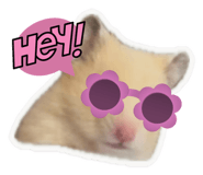 846394296