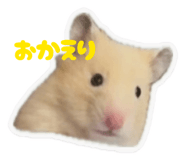 846394307