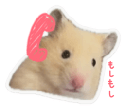 846394315