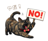846395481