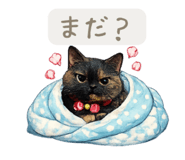 846395486