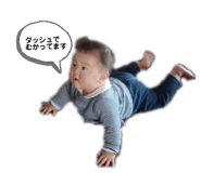 846395733