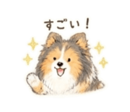 846395787
