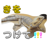 846395909