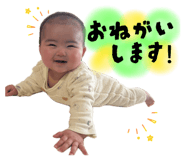 846395916